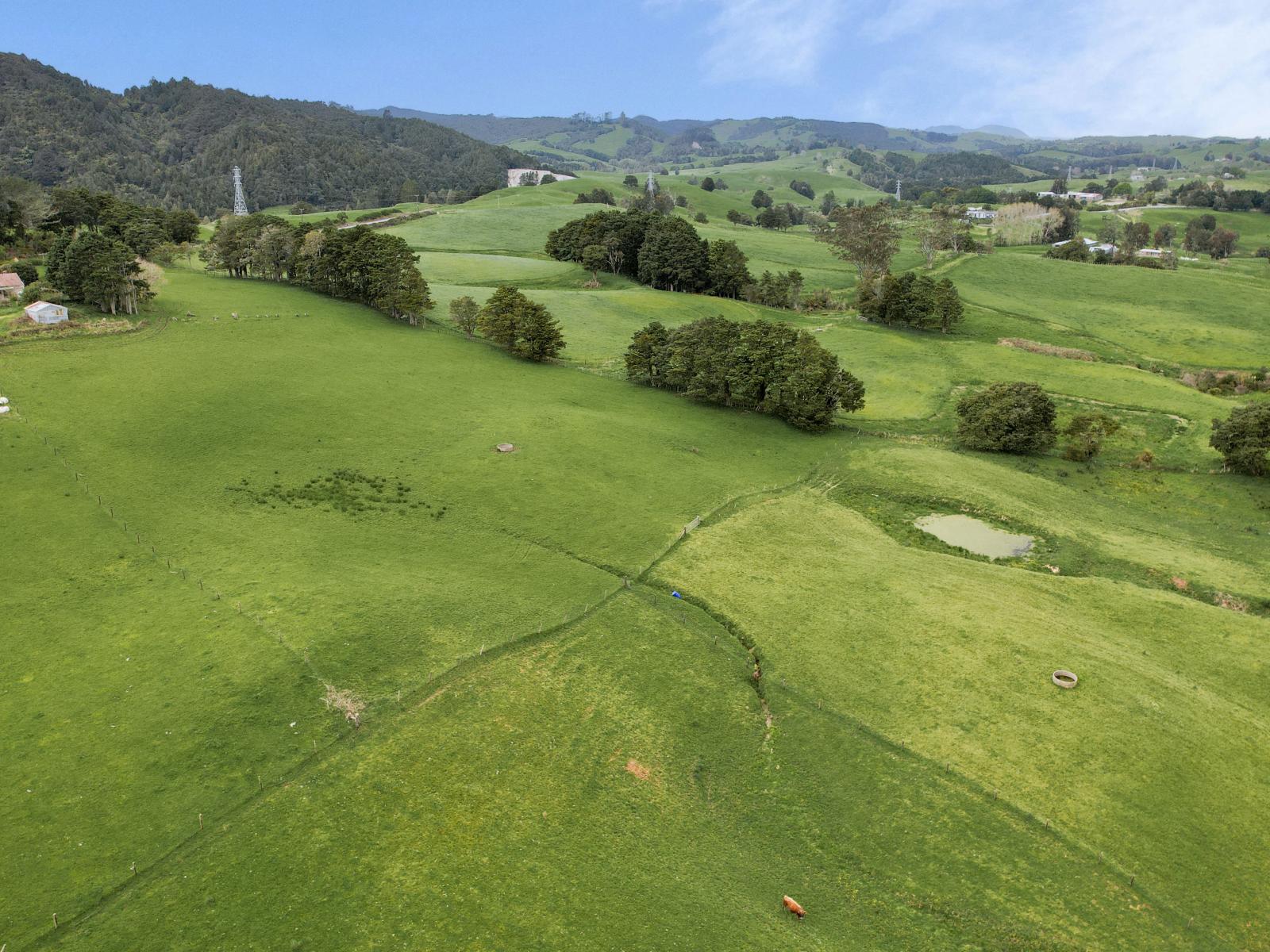 2051 Paparoa-Oakleigh Road, Taipuha