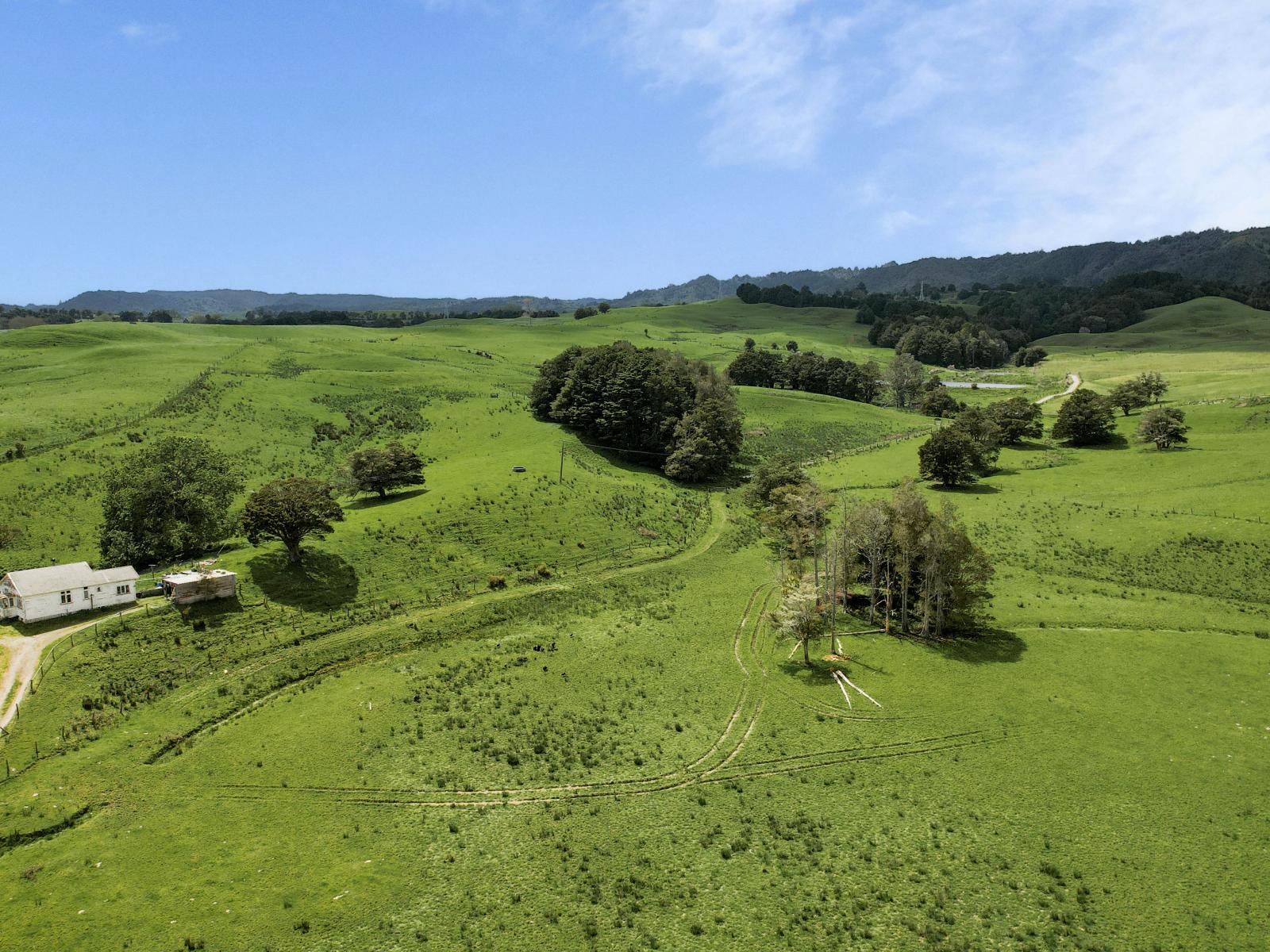 2051 Paparoa-Oakleigh Road, Taipuha