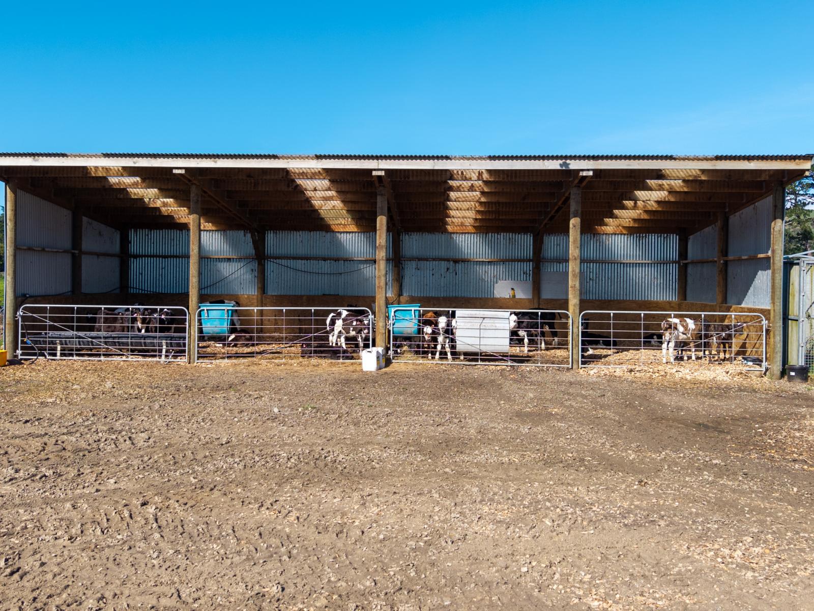886 Kakariki Road, Eketahuna