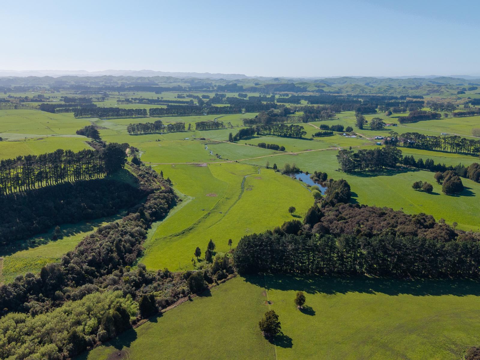 886 Kakariki Road, Eketahuna