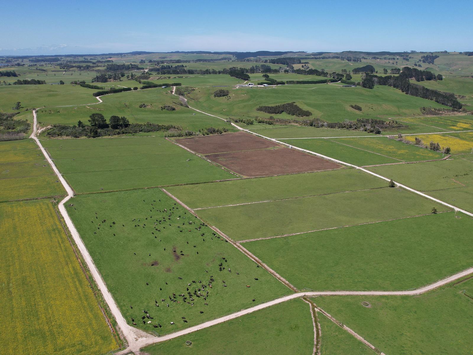 2611 Pouto Road, Te Kopuru