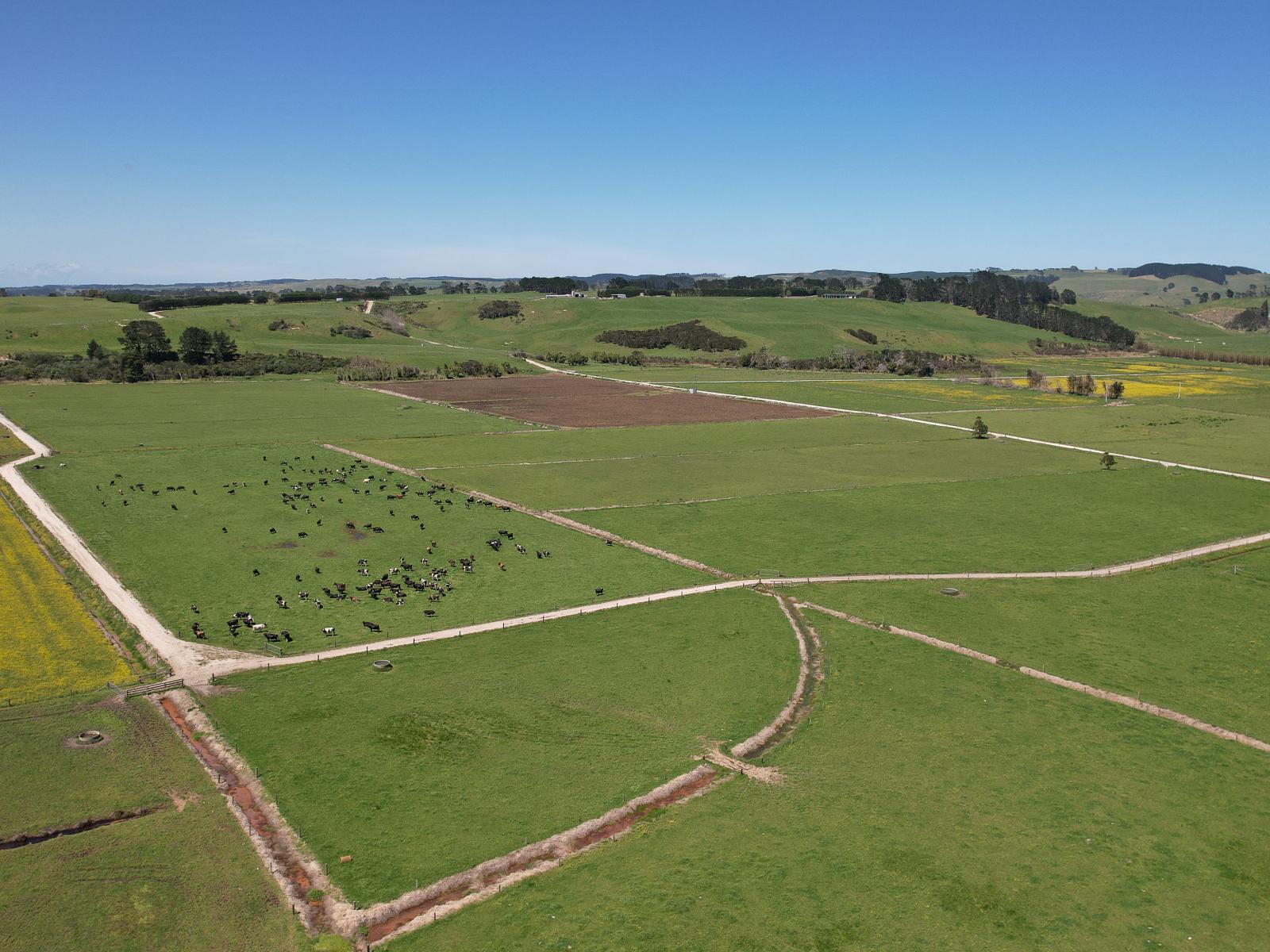 2611 Pouto Road, Te Kopuru