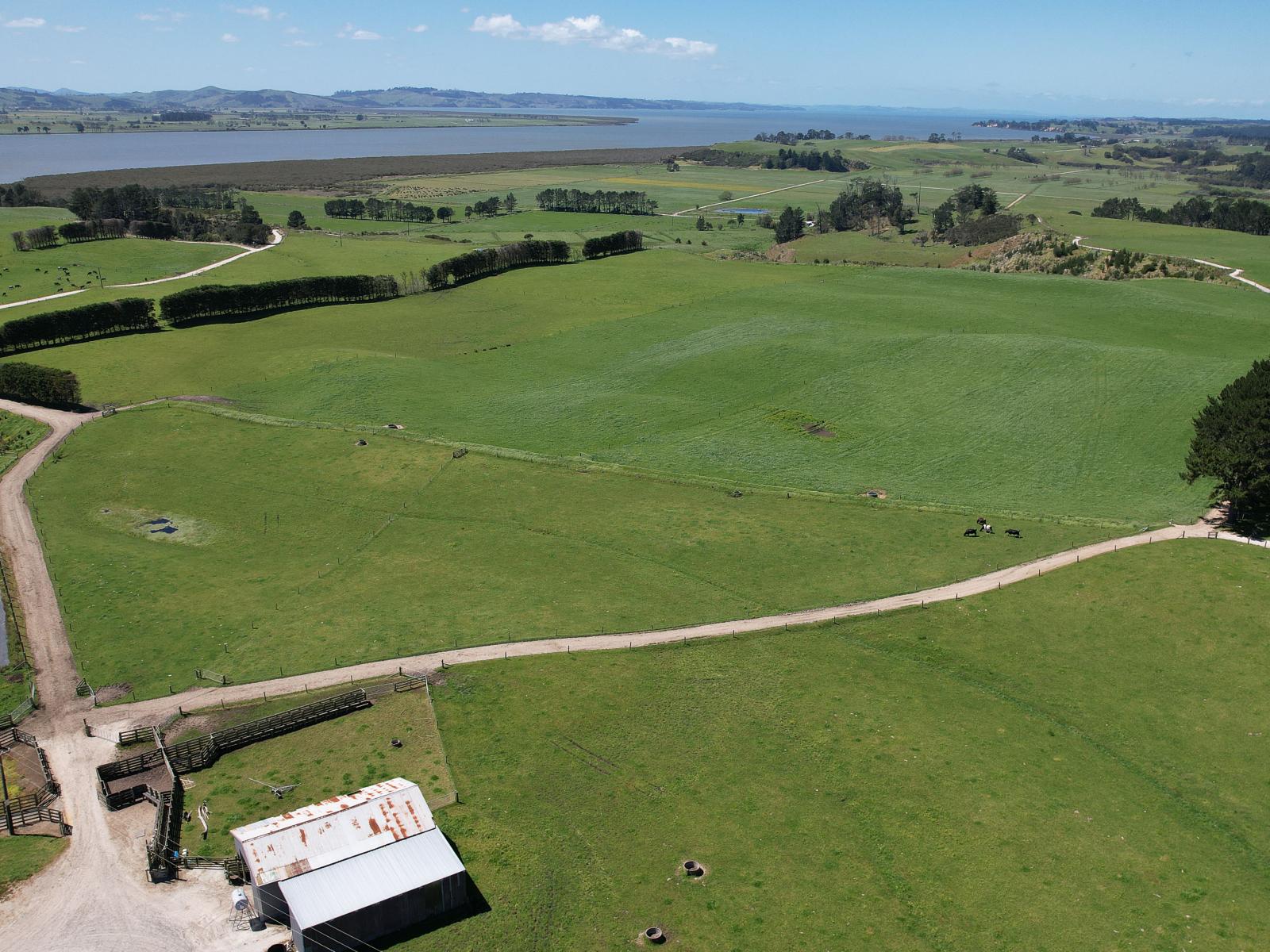 2611 Pouto Road, Te Kopuru