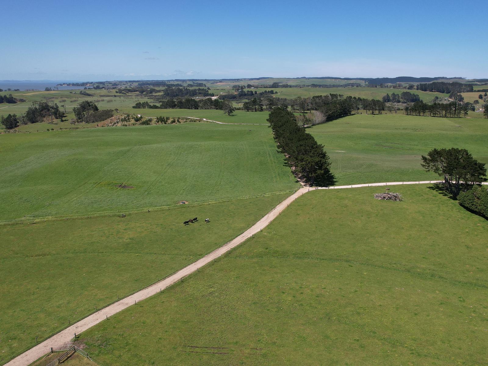 2611 Pouto Road, Te Kopuru