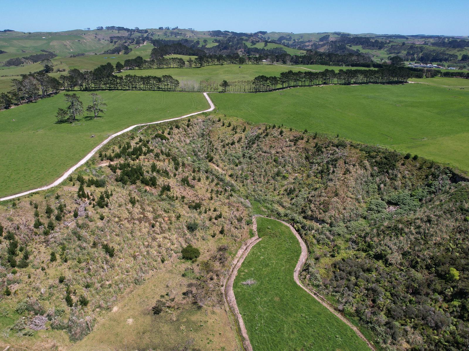 2611 Pouto Road, Te Kopuru