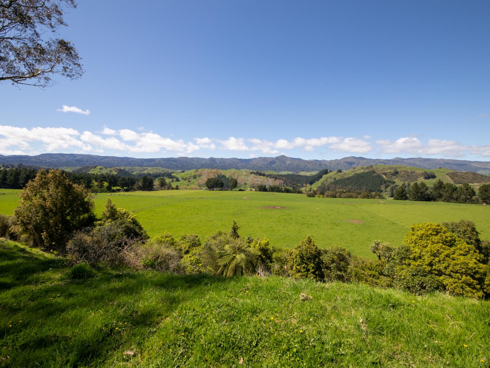 2393 Pohangina Road, Pohangina