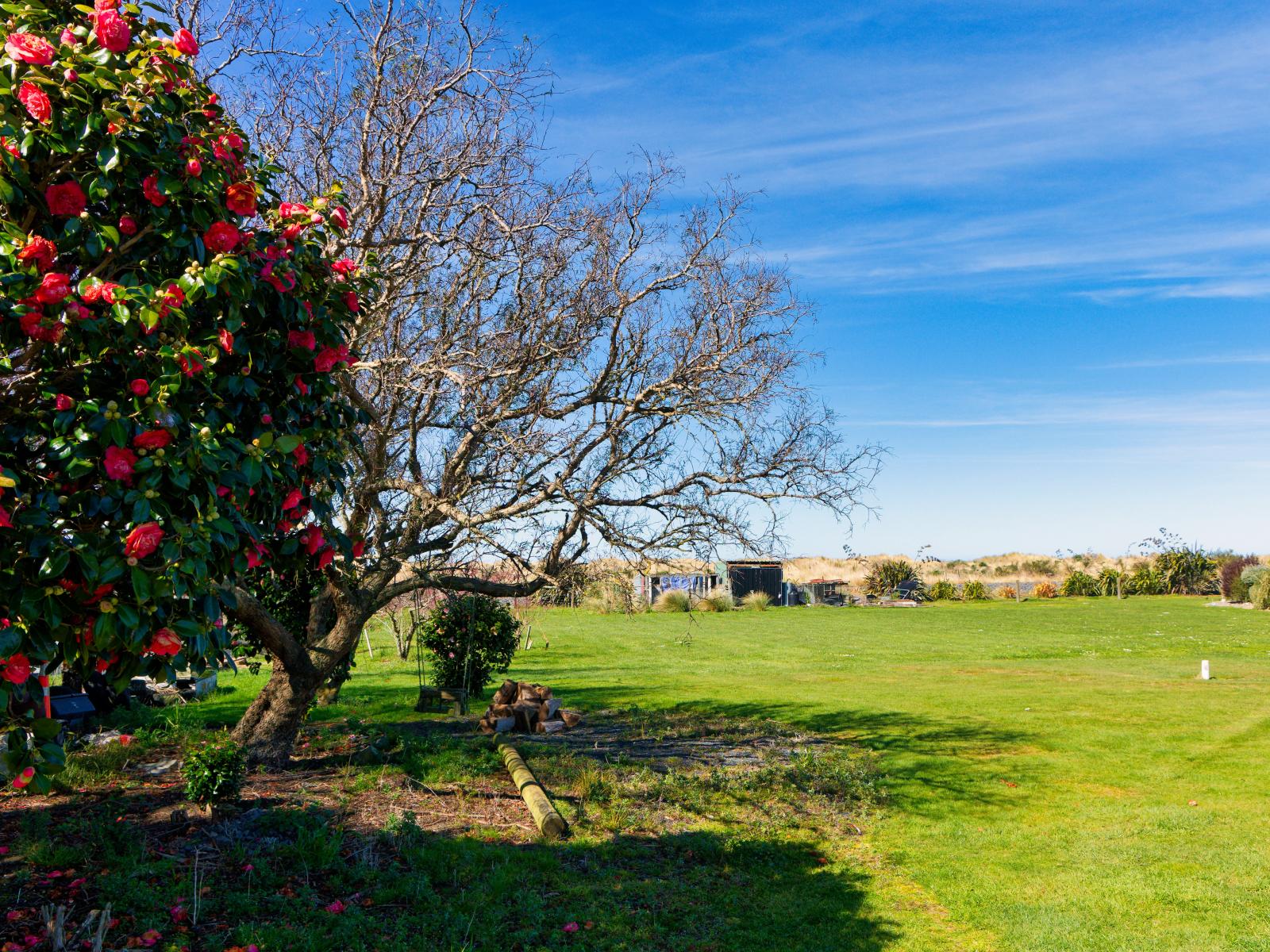 44 Old Beach Road, Kaikoura