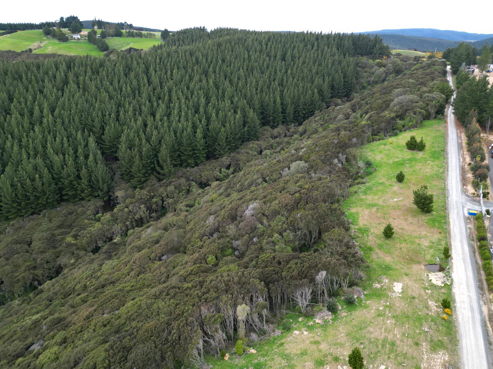 1 Bells Bush Road and Sinclair Road, Waihola