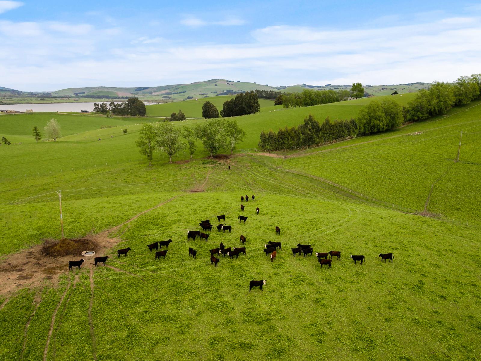 93 Baker Road, 66 Waihola Hill Road and Berwick Road, Clarendon