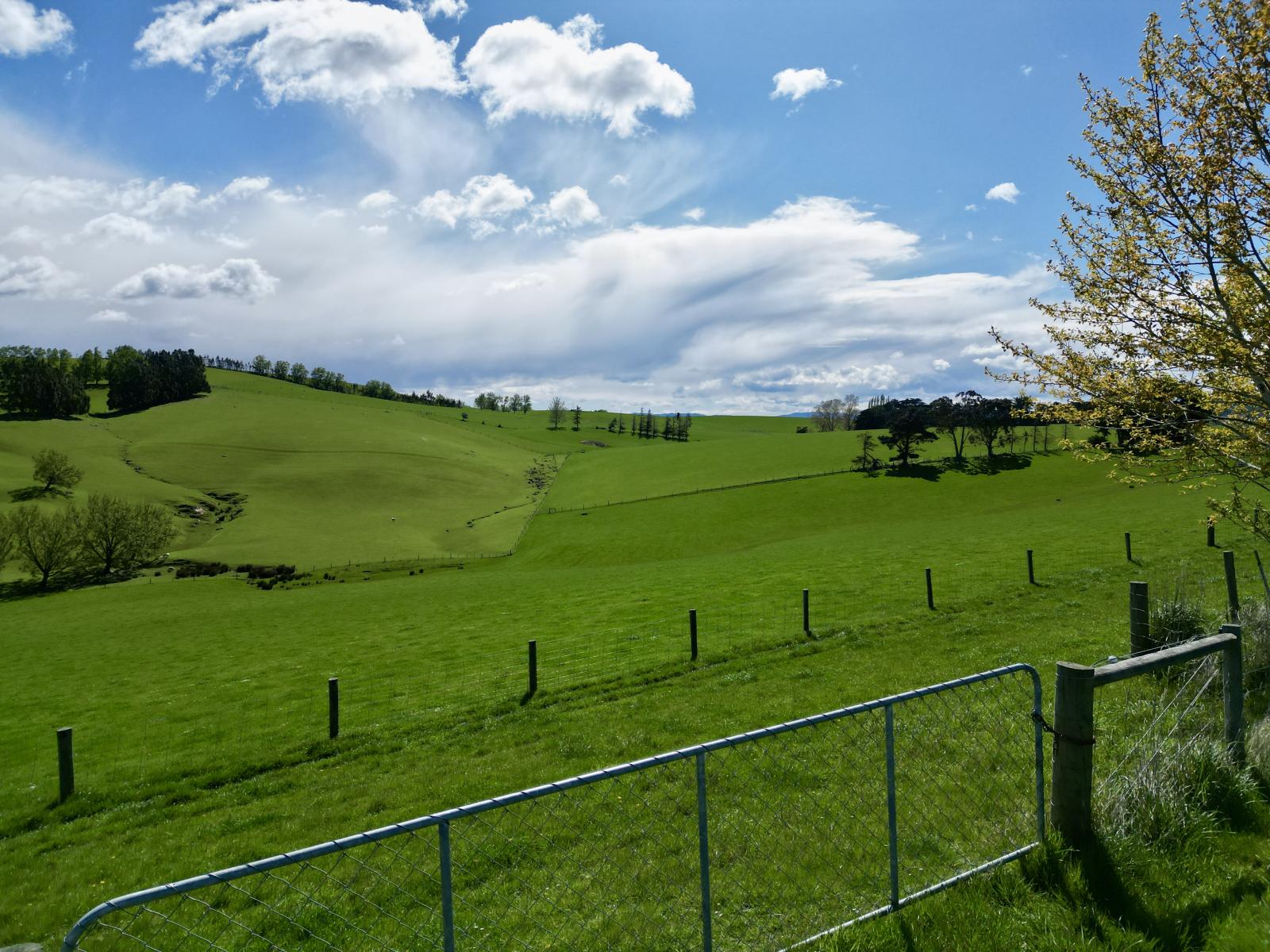 93 Baker Road, 66 Waihola Hill Road and Berwick Road, Clarendon