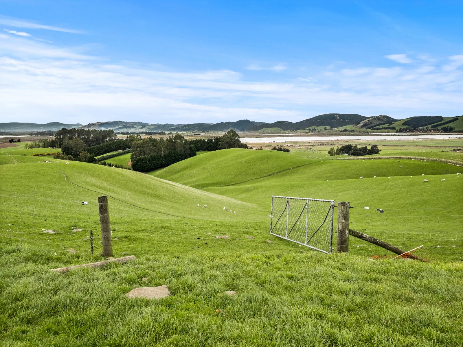 93 Baker Road, 66 Waihola Hill Road and Berwick Road, Clarendon
