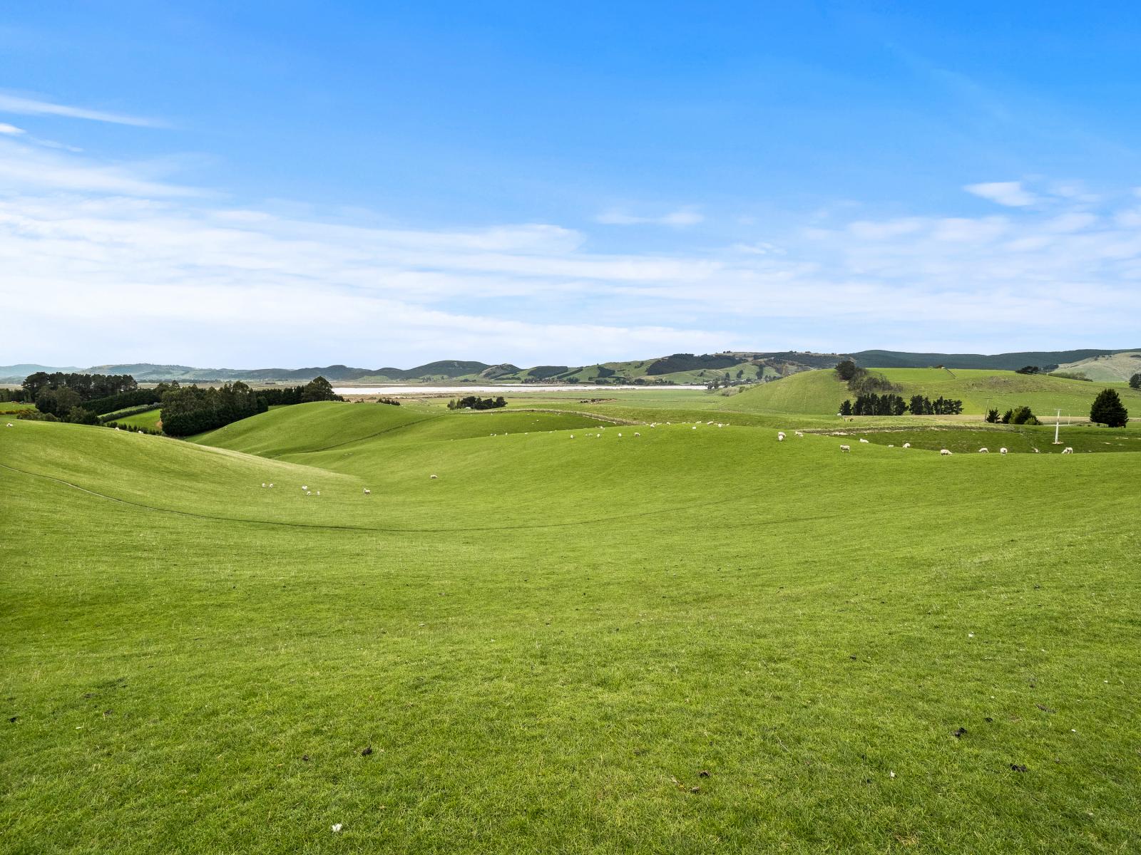 93 Baker Road, 66 Waihola Hill Road and Berwick Road, Clarendon