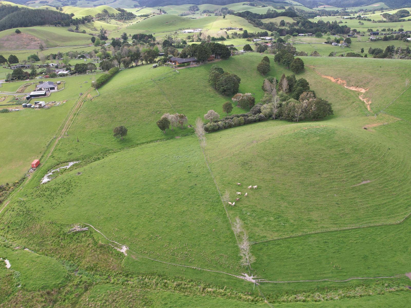 18 Pataua North Road, Whareora