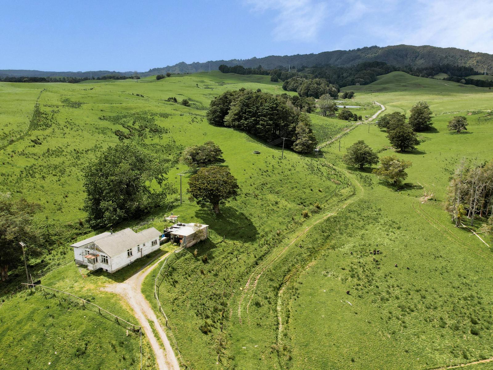 2051 Paparoa-Oakleigh Road, Taipuha