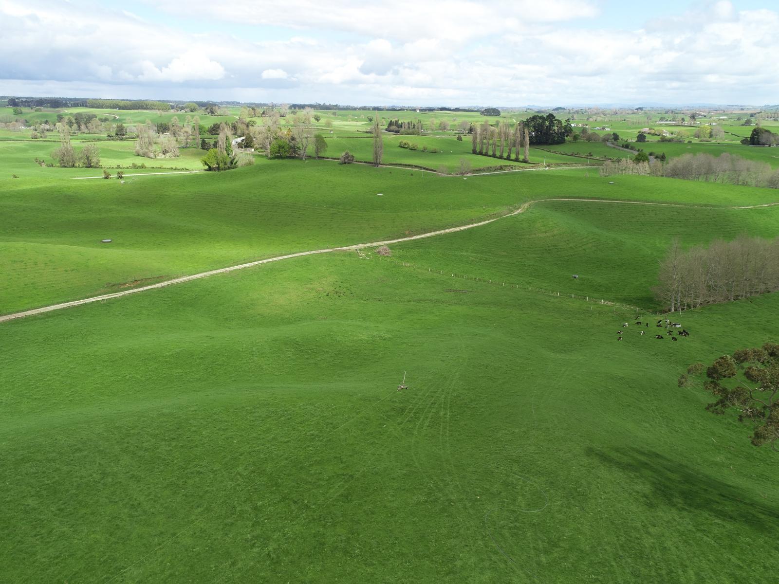 802 Kakahu Road, Tapapa