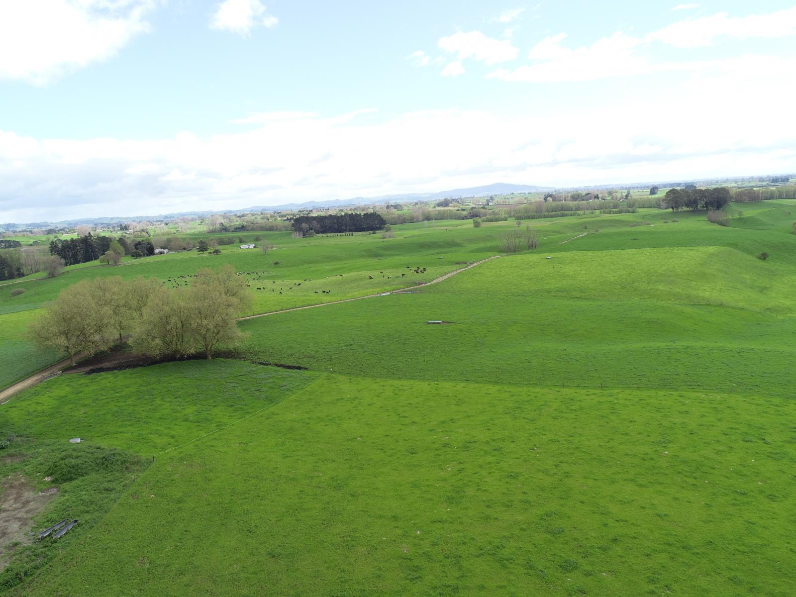 802 Kakahu Road, Tapapa