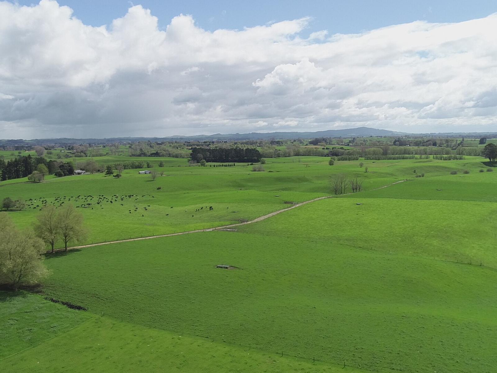 802 Kakahu Road, Tapapa