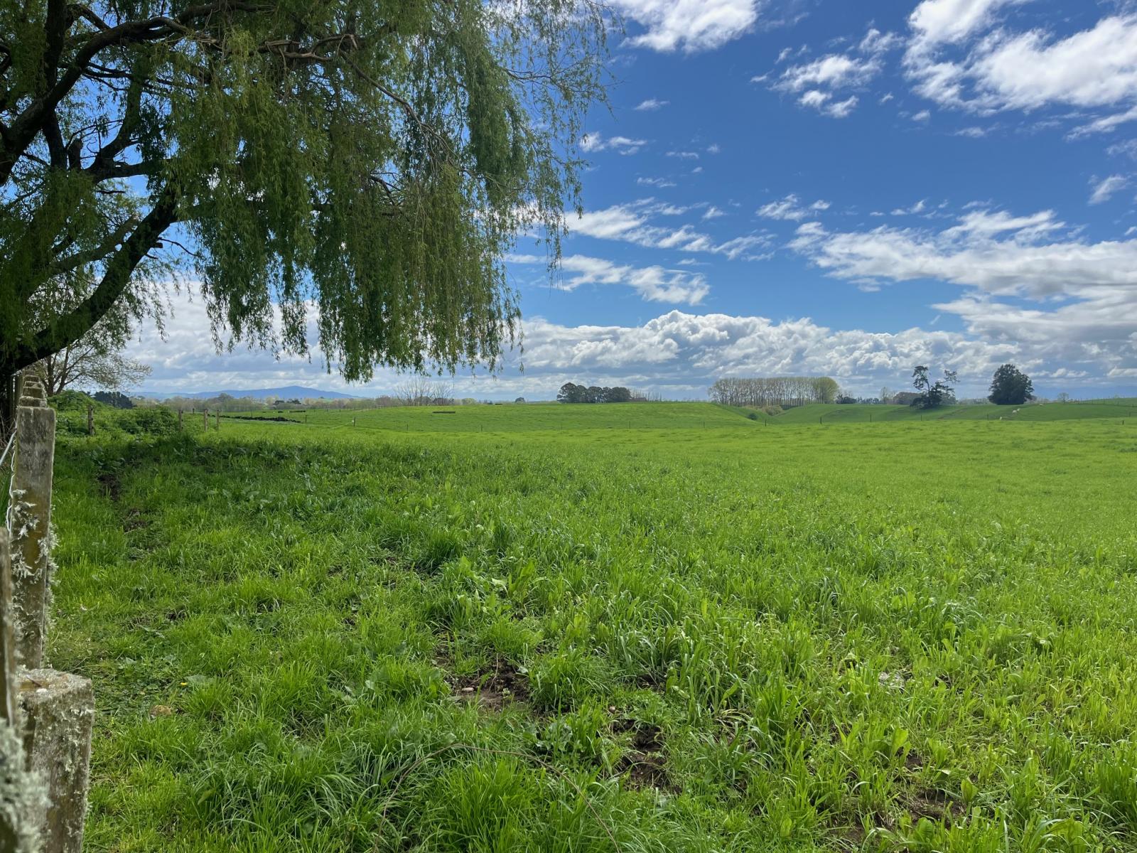 802 Kakahu Road, Tapapa