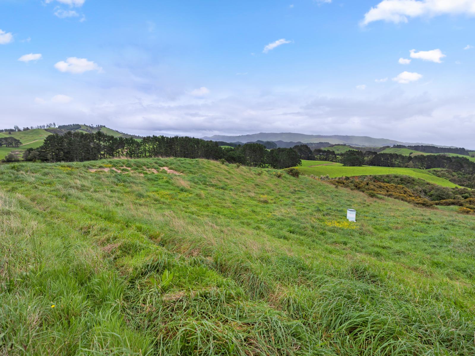 69B Otonga Valley Road, Raglan