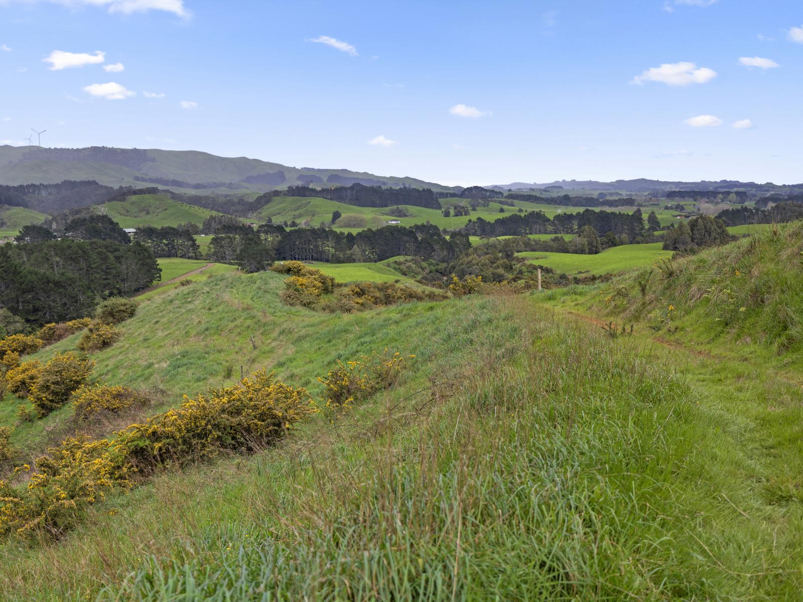 69B Otonga Valley Road, Raglan