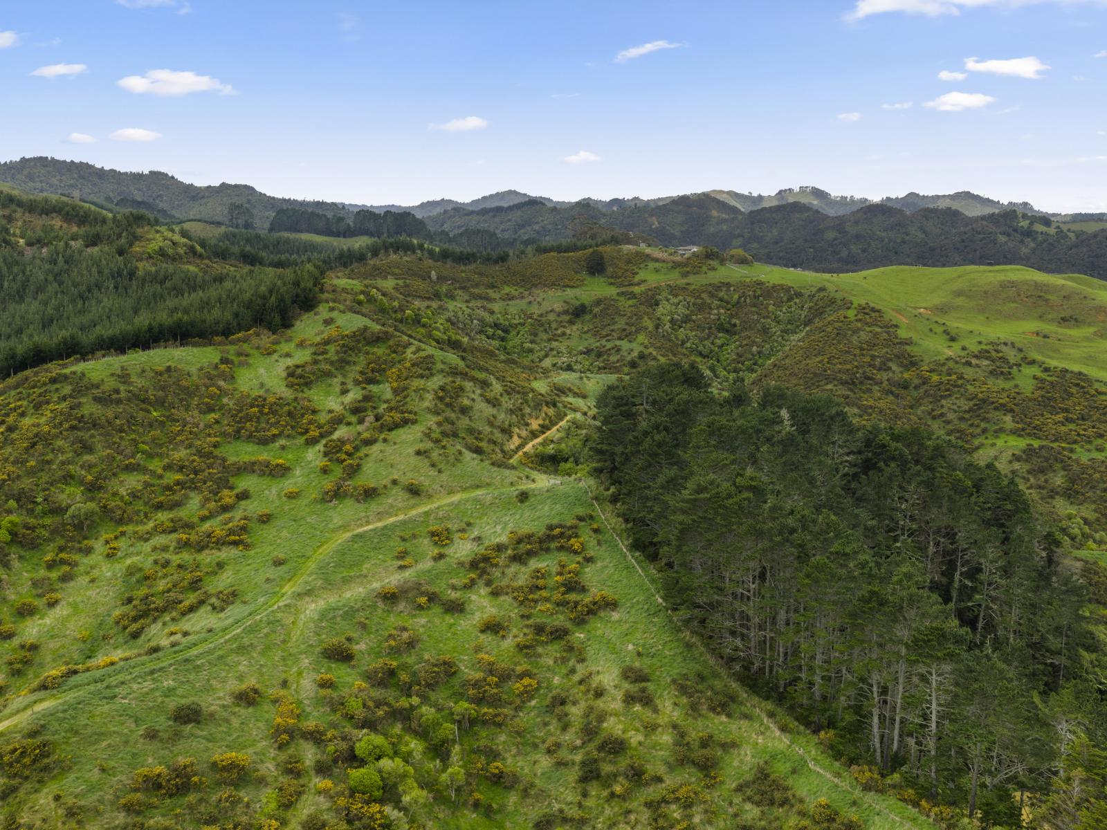 69B Otonga Valley Road, Raglan