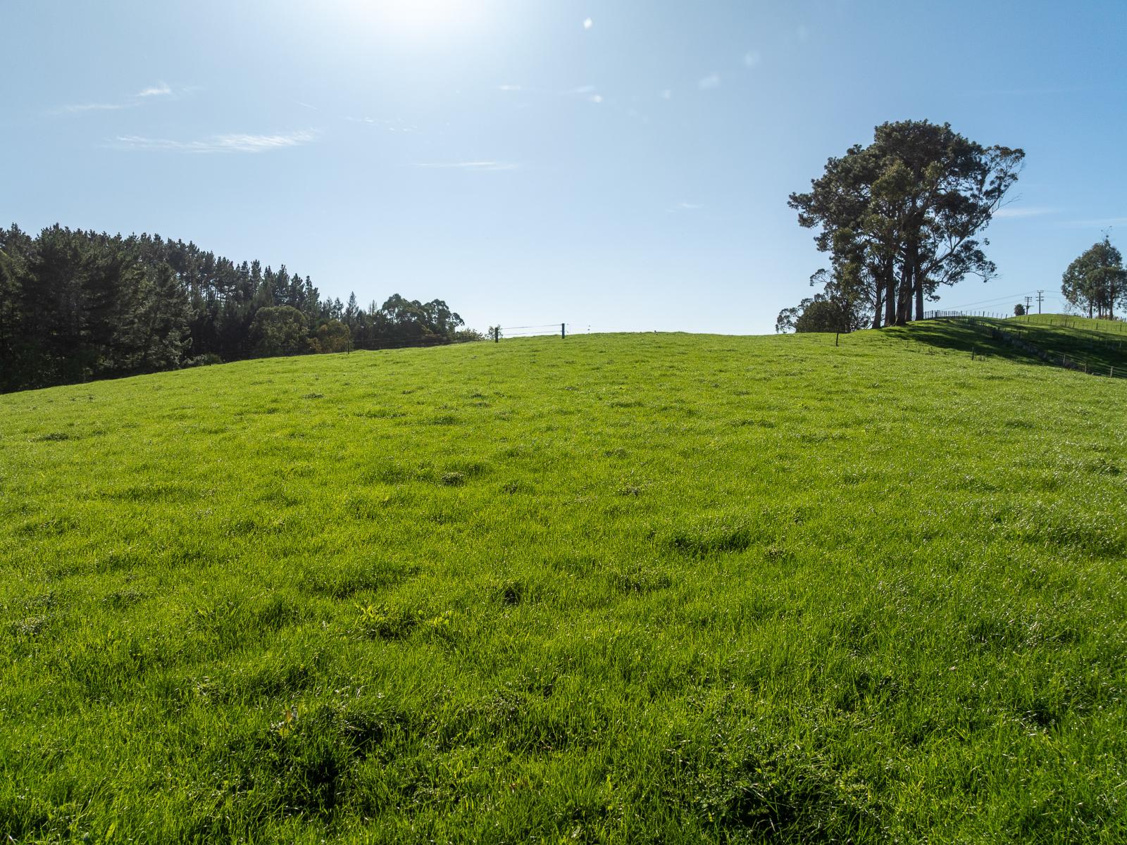 24 Rowe Road, Whatawhata