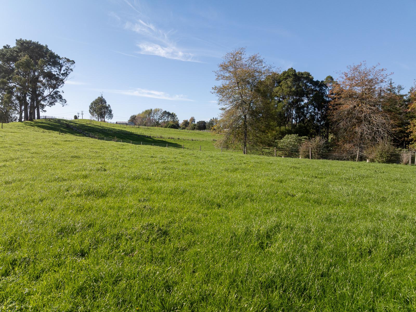 24 Rowe Road, Whatawhata