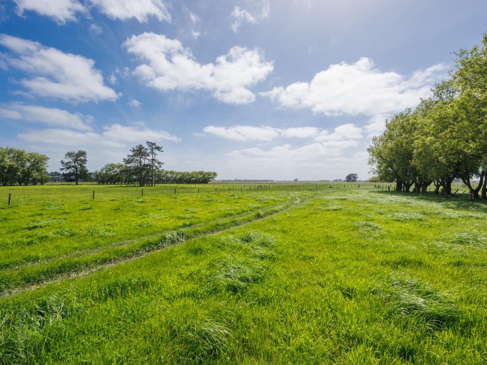 1331 Rongotea Road, Kairanga