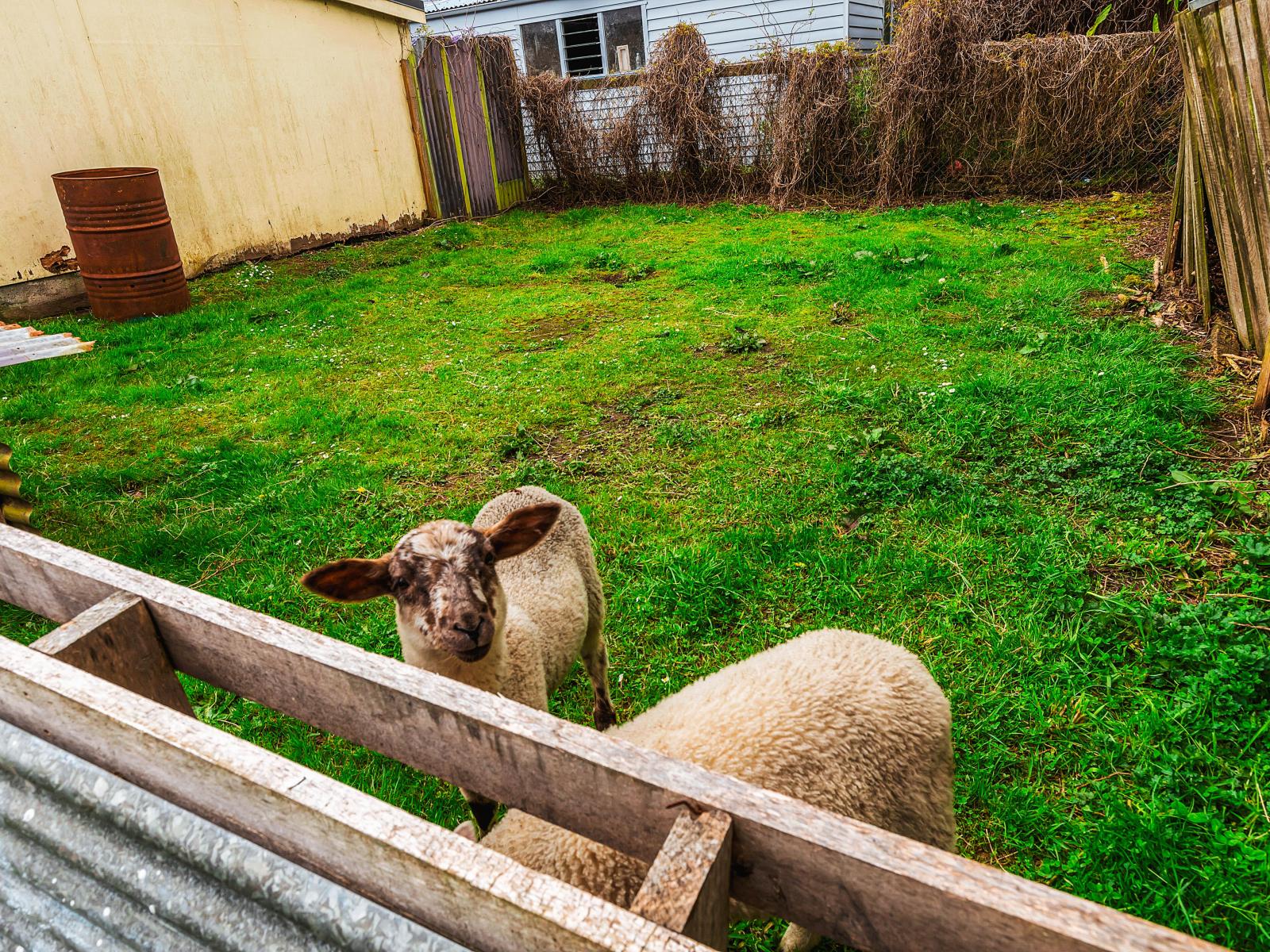 5 Leese Street, Taumarunui