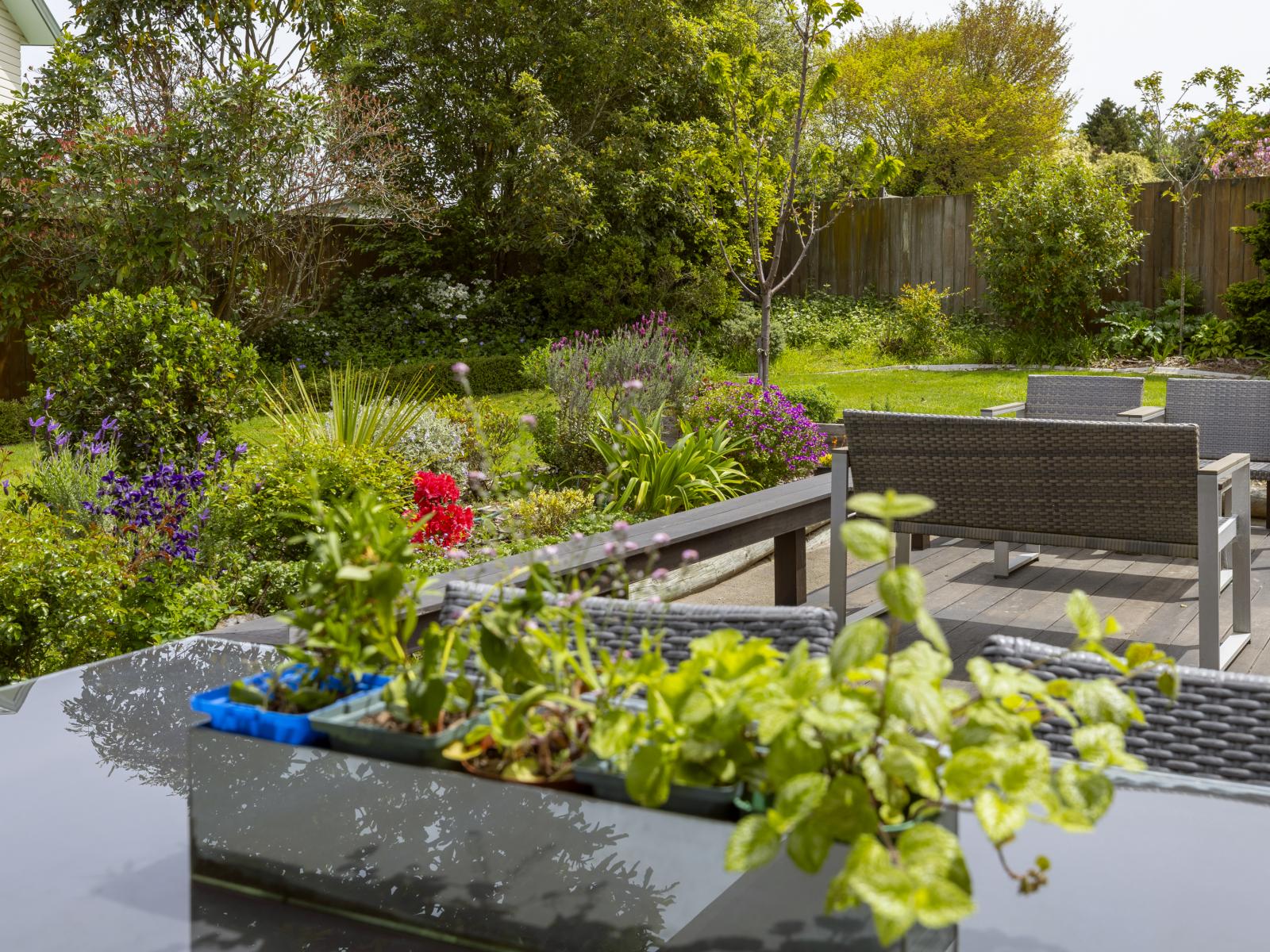 51 Kahurangi Drive, Rangatira Park