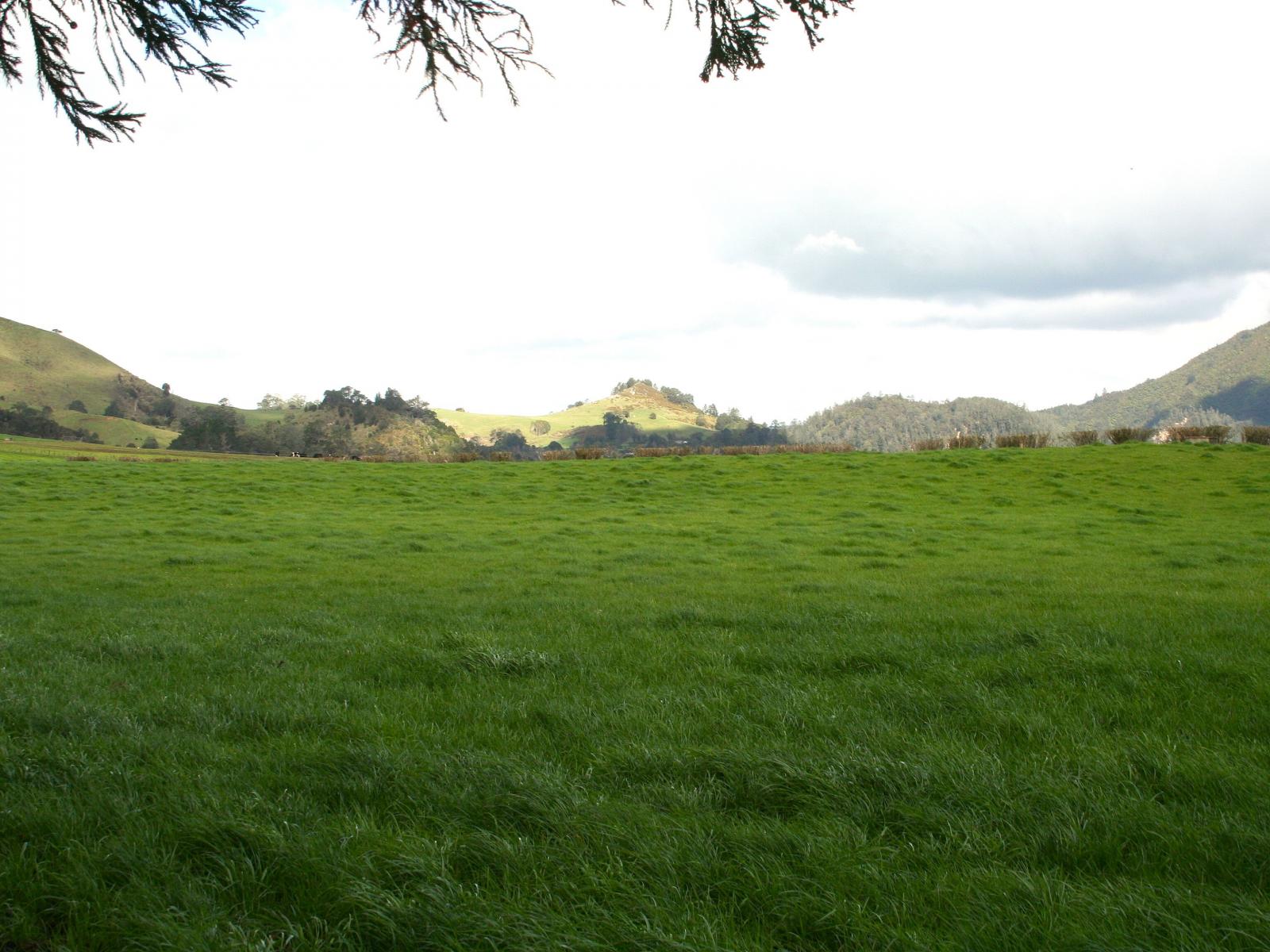 7541 State Highway 2, Paeroa