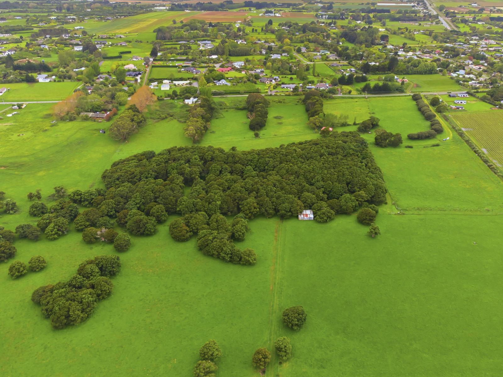81 Muhunoa West Road, Ohau