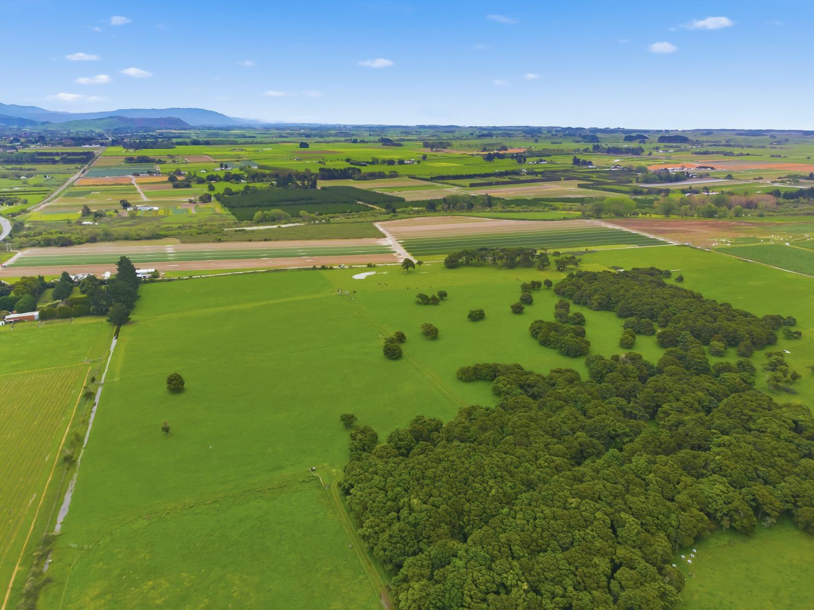 81 Muhunoa West Road, Ohau