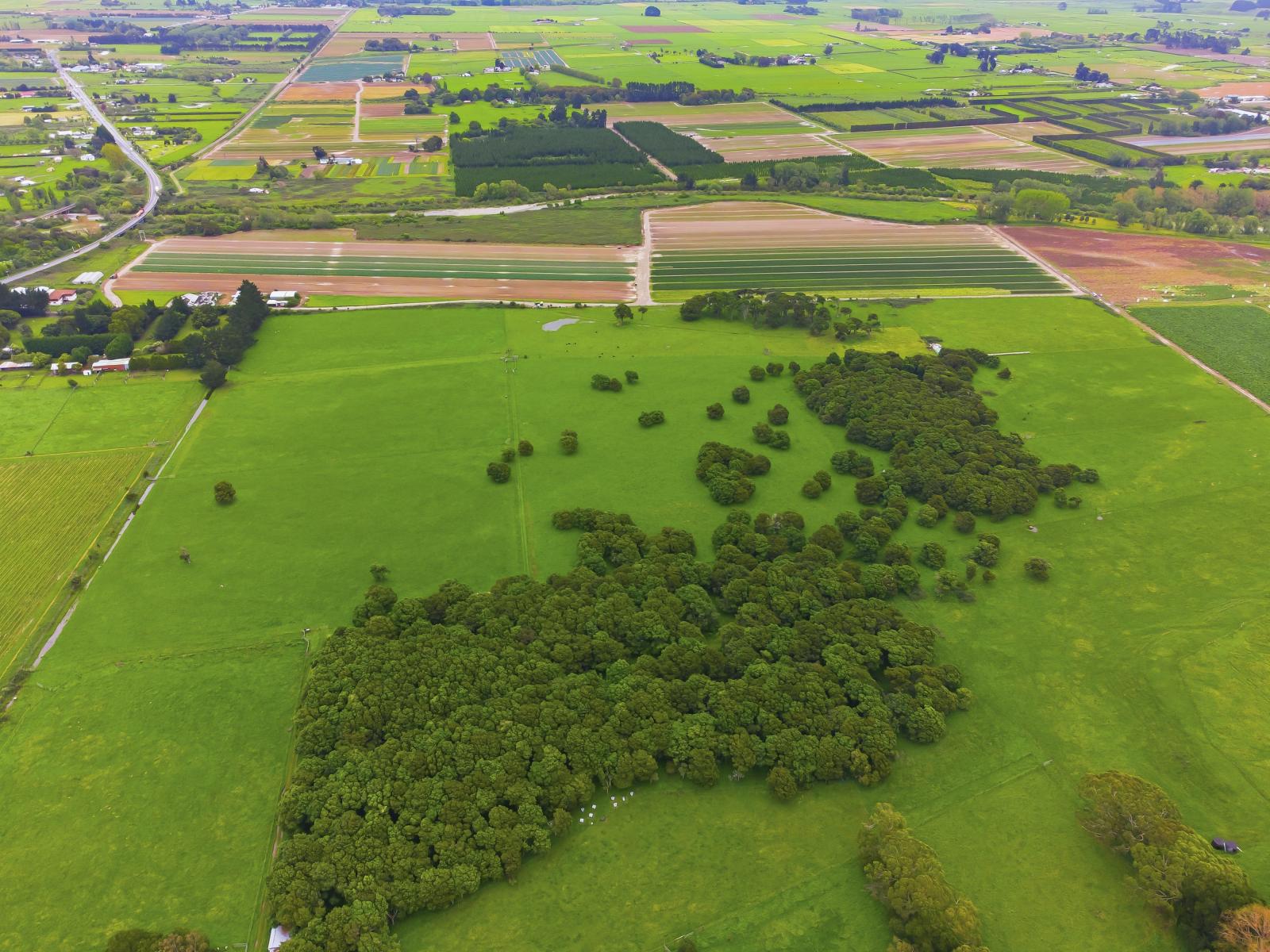 81 Muhunoa West Road, Ohau