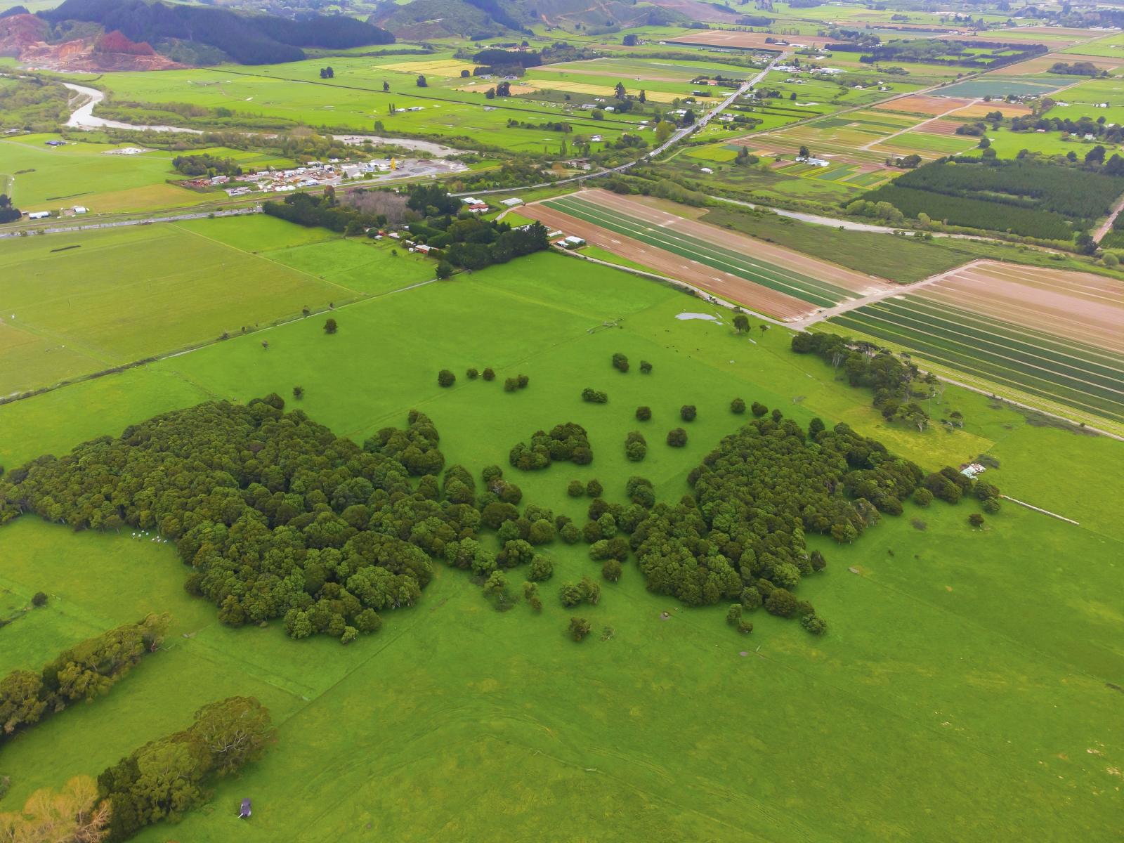 81 Muhunoa West Road, Ohau