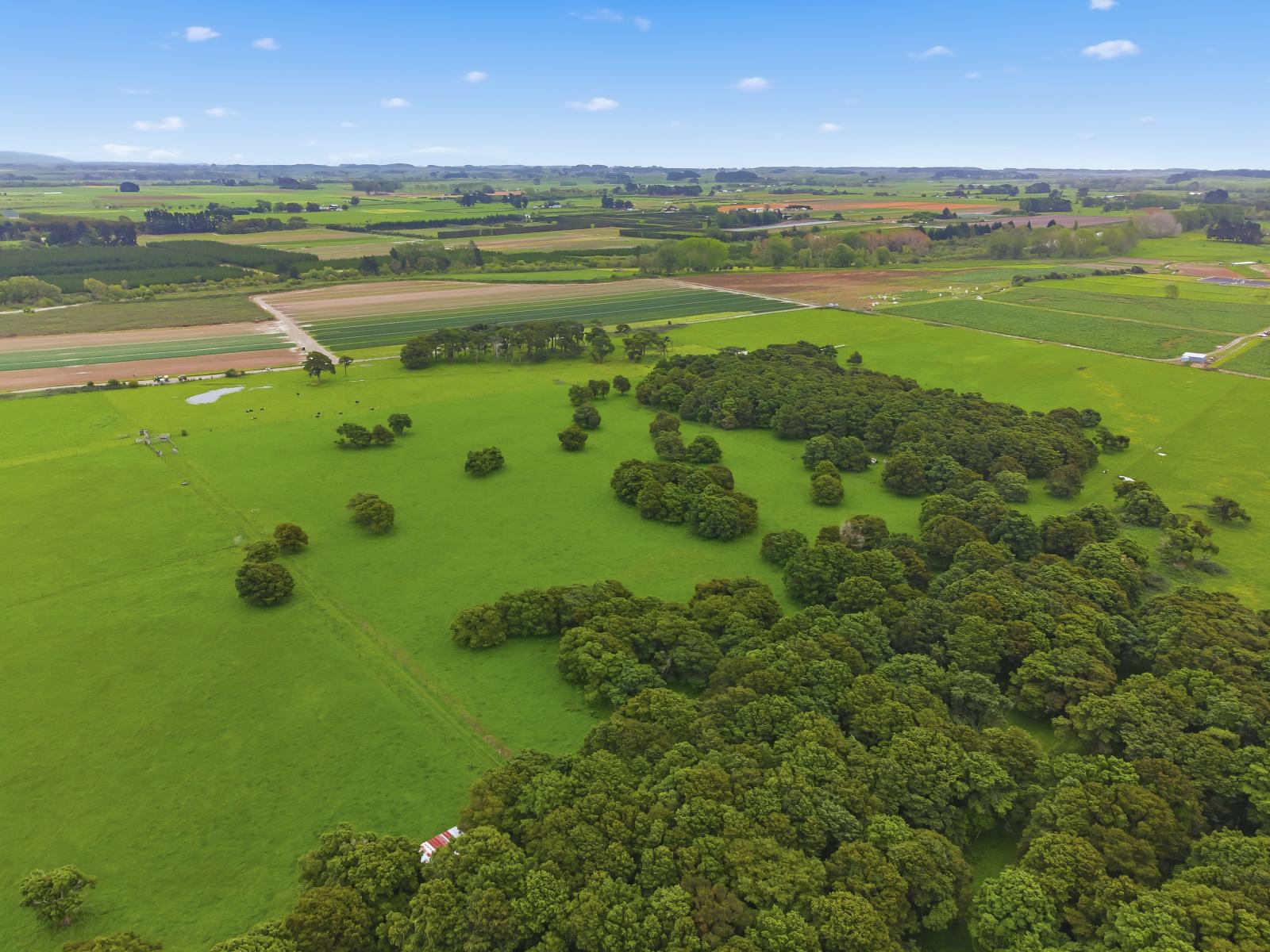 81 Muhunoa West Road, Ohau