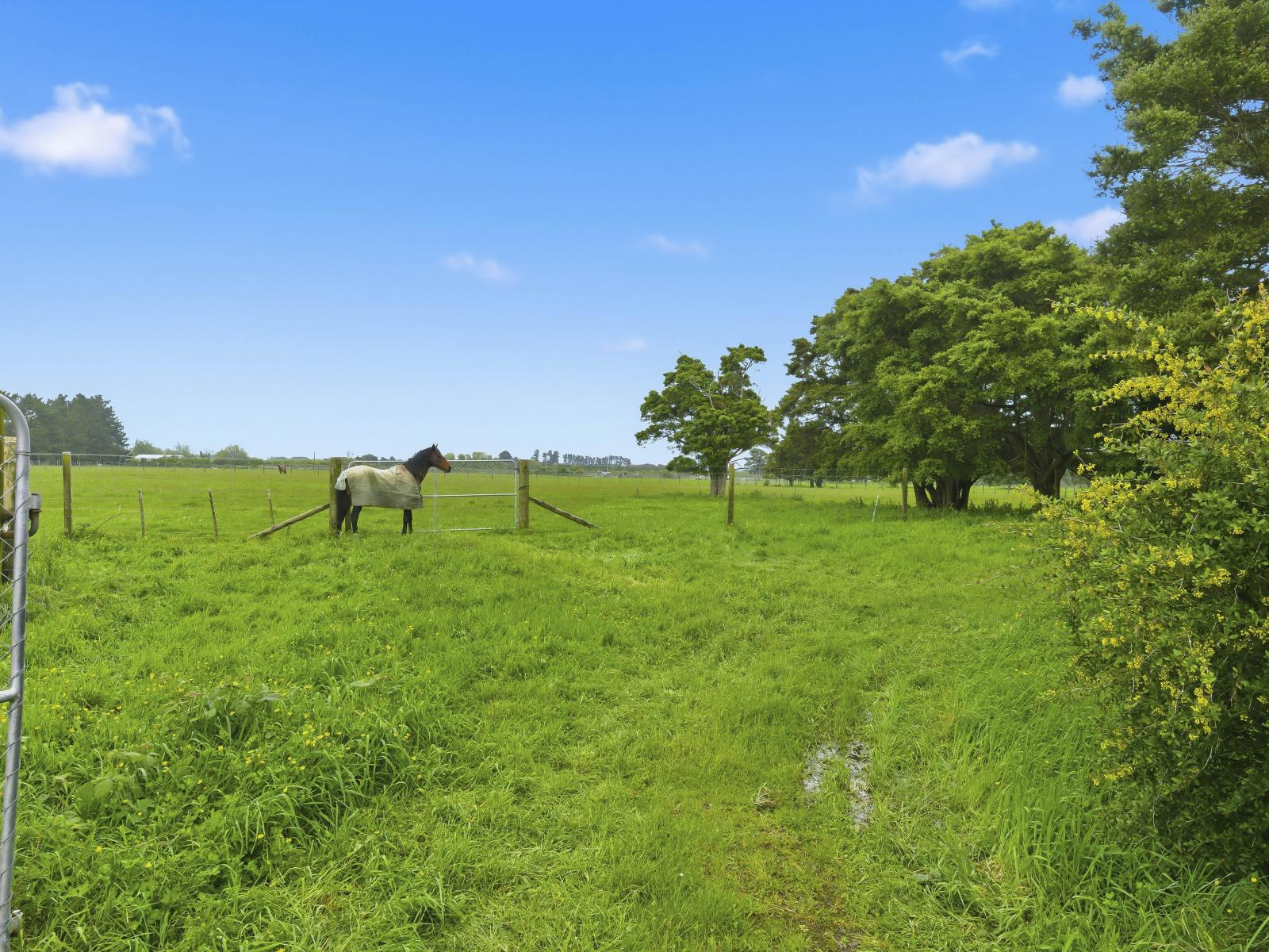 81 Muhunoa West Road, Ohau