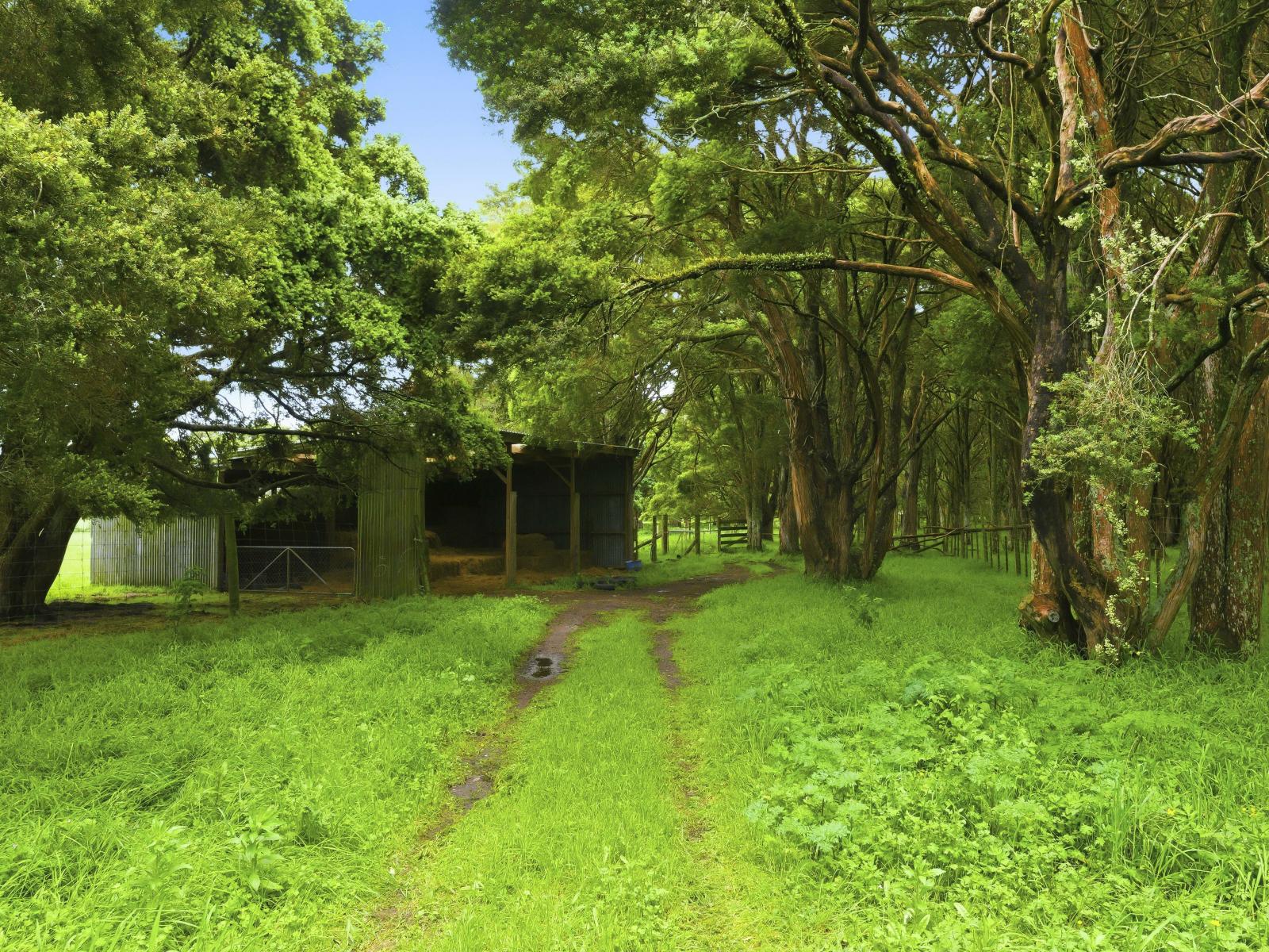 81 Muhunoa West Road, Ohau