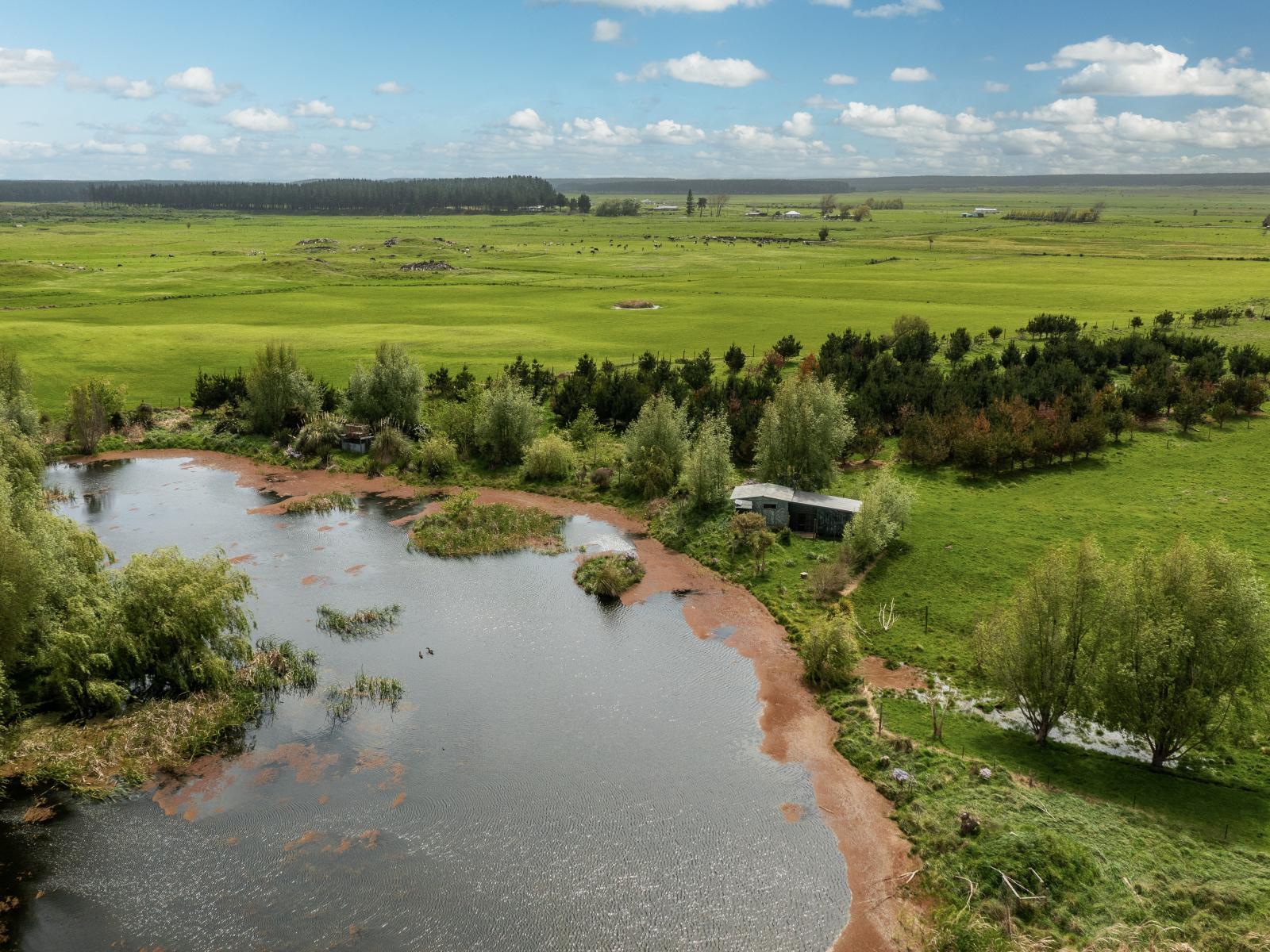 293 Beamish Road, Bulls