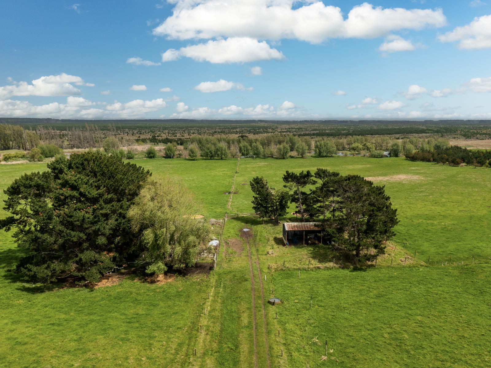 293 Beamish Road, Bulls