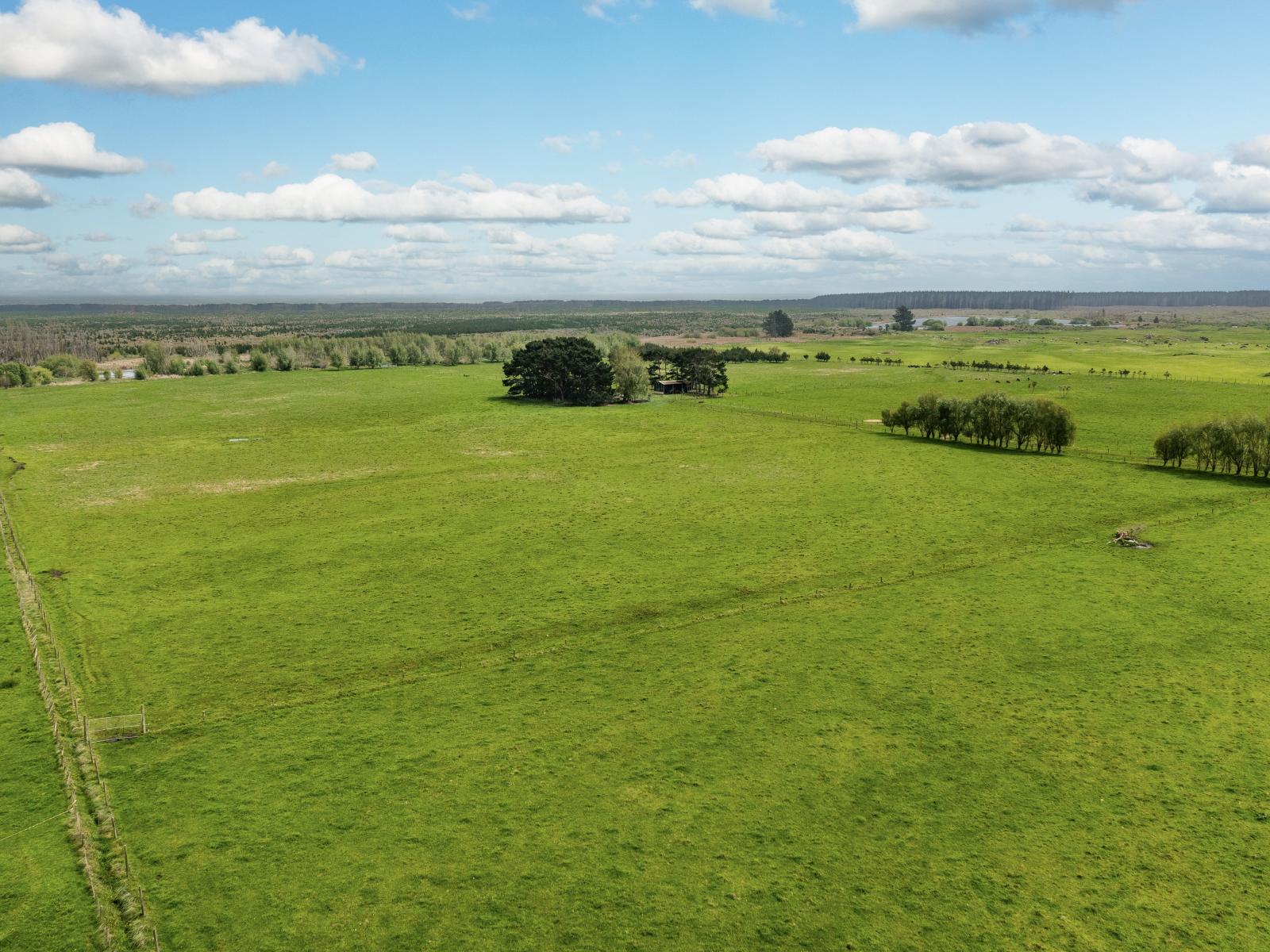 293 Beamish Road, Bulls