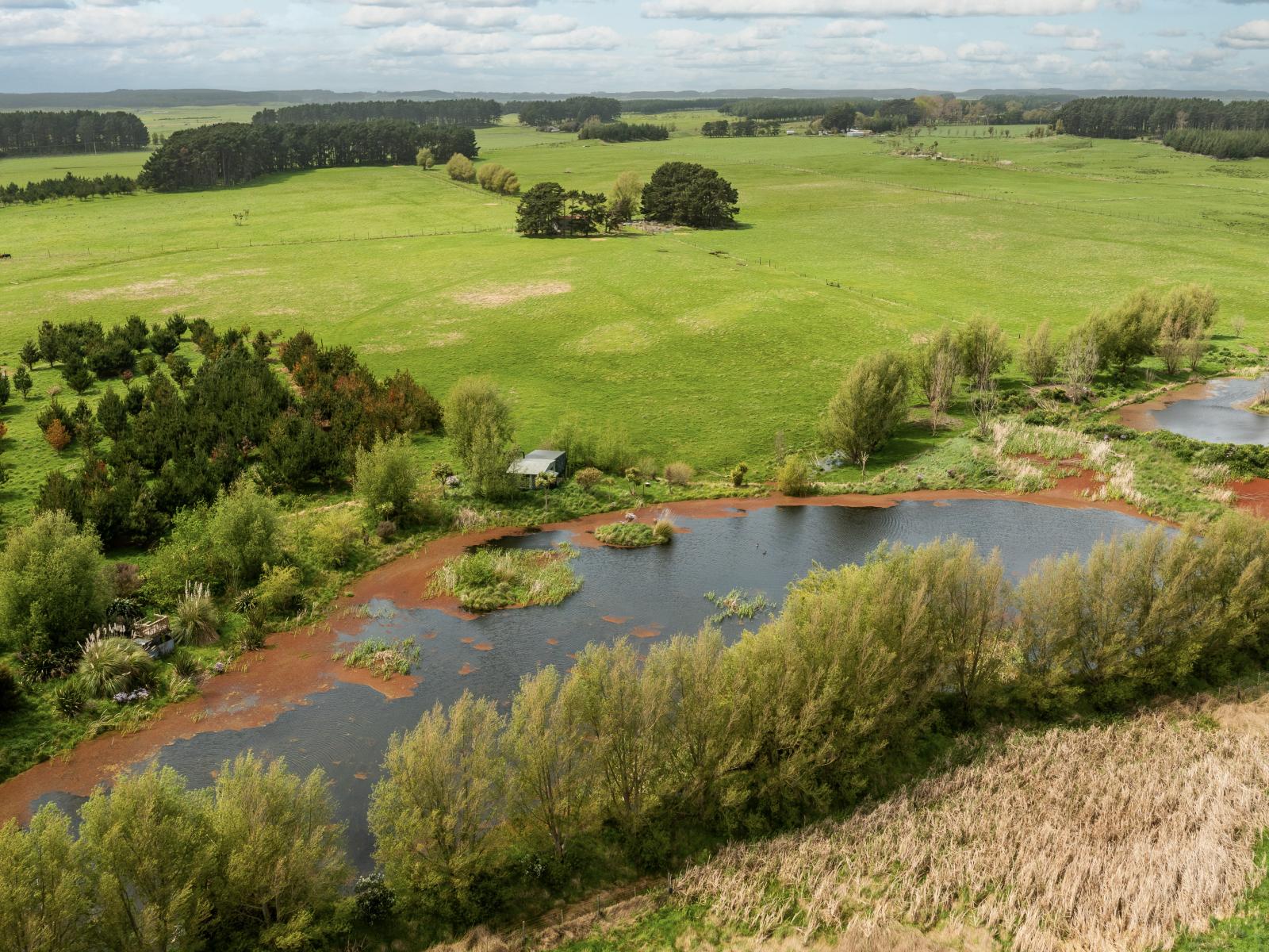 293 Beamish Road, Bulls