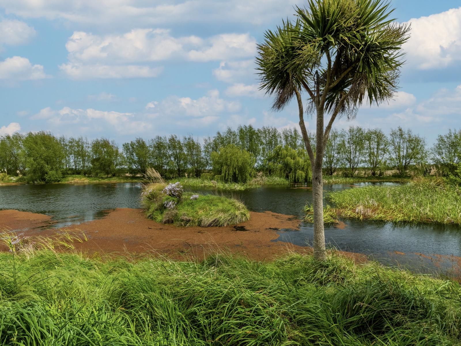 293 Beamish Road, Bulls