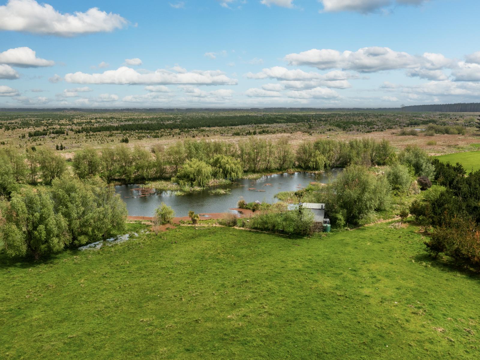 293 Beamish Road, Bulls