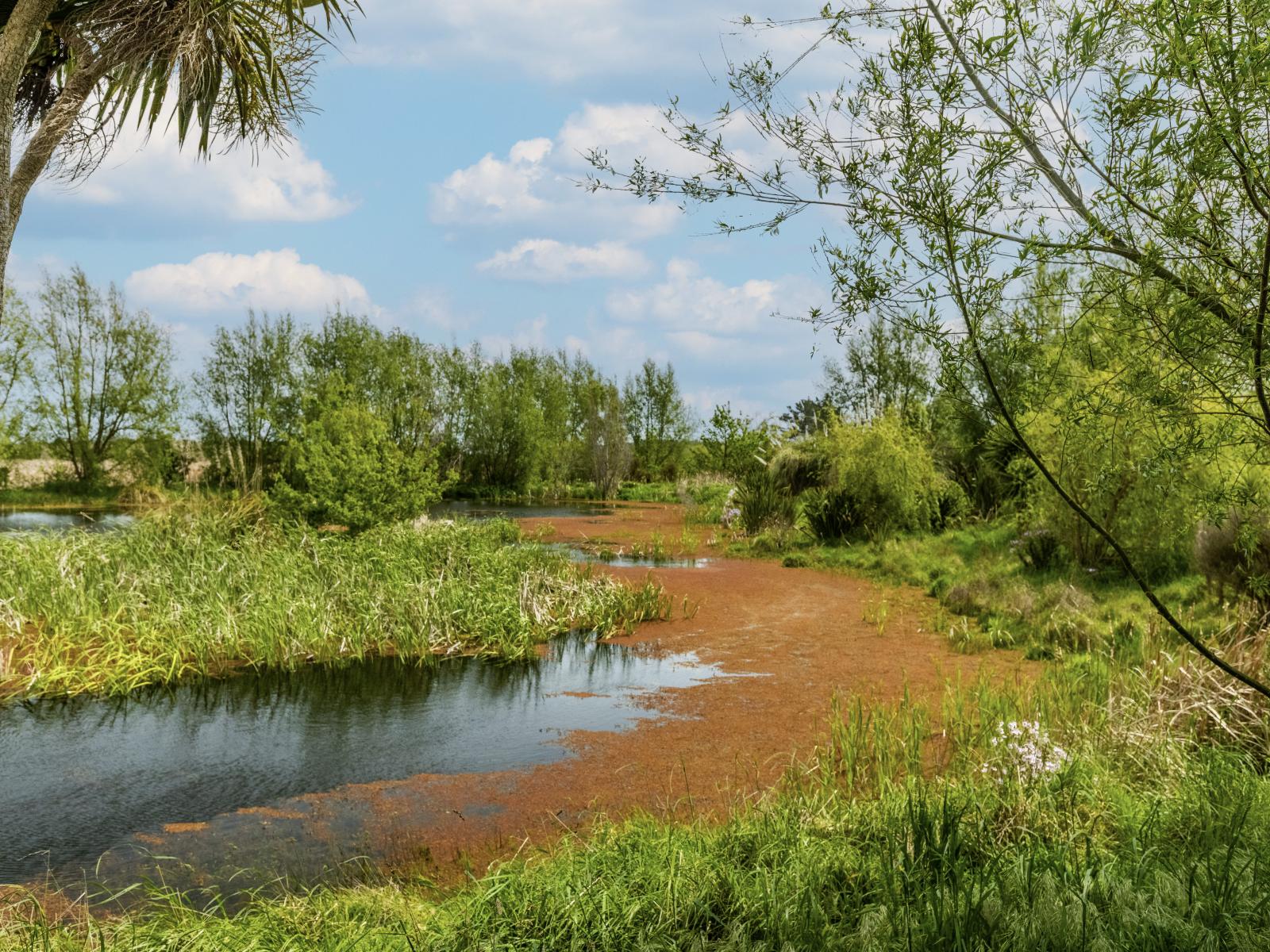 293 Beamish Road, Bulls