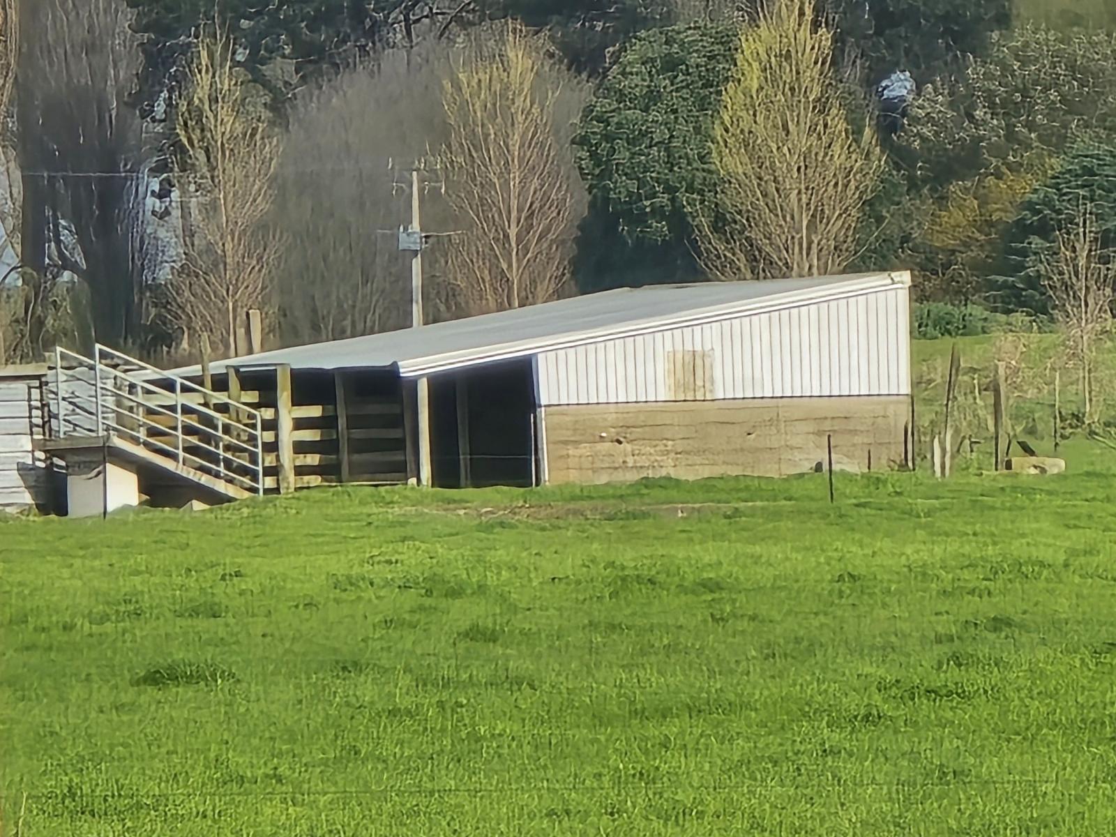 293 Beamish Road, Bulls