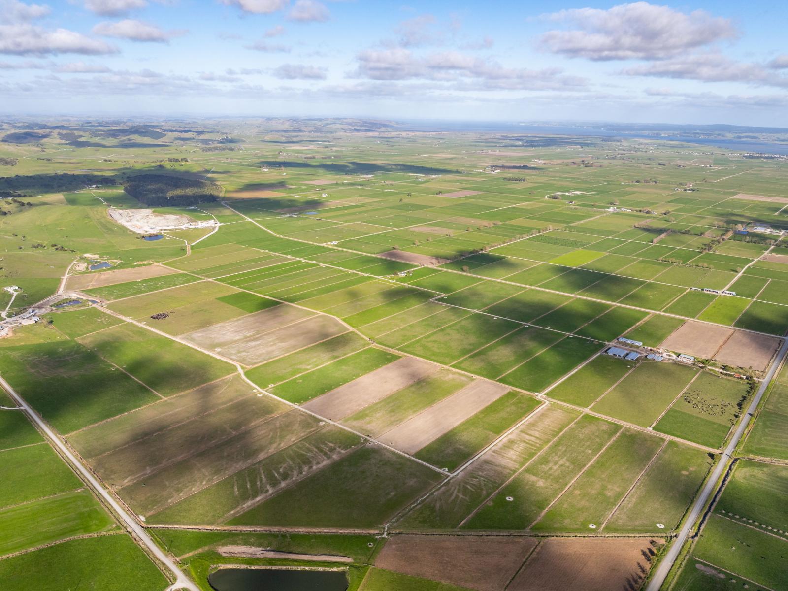 107 Molloy Road, Ruawai