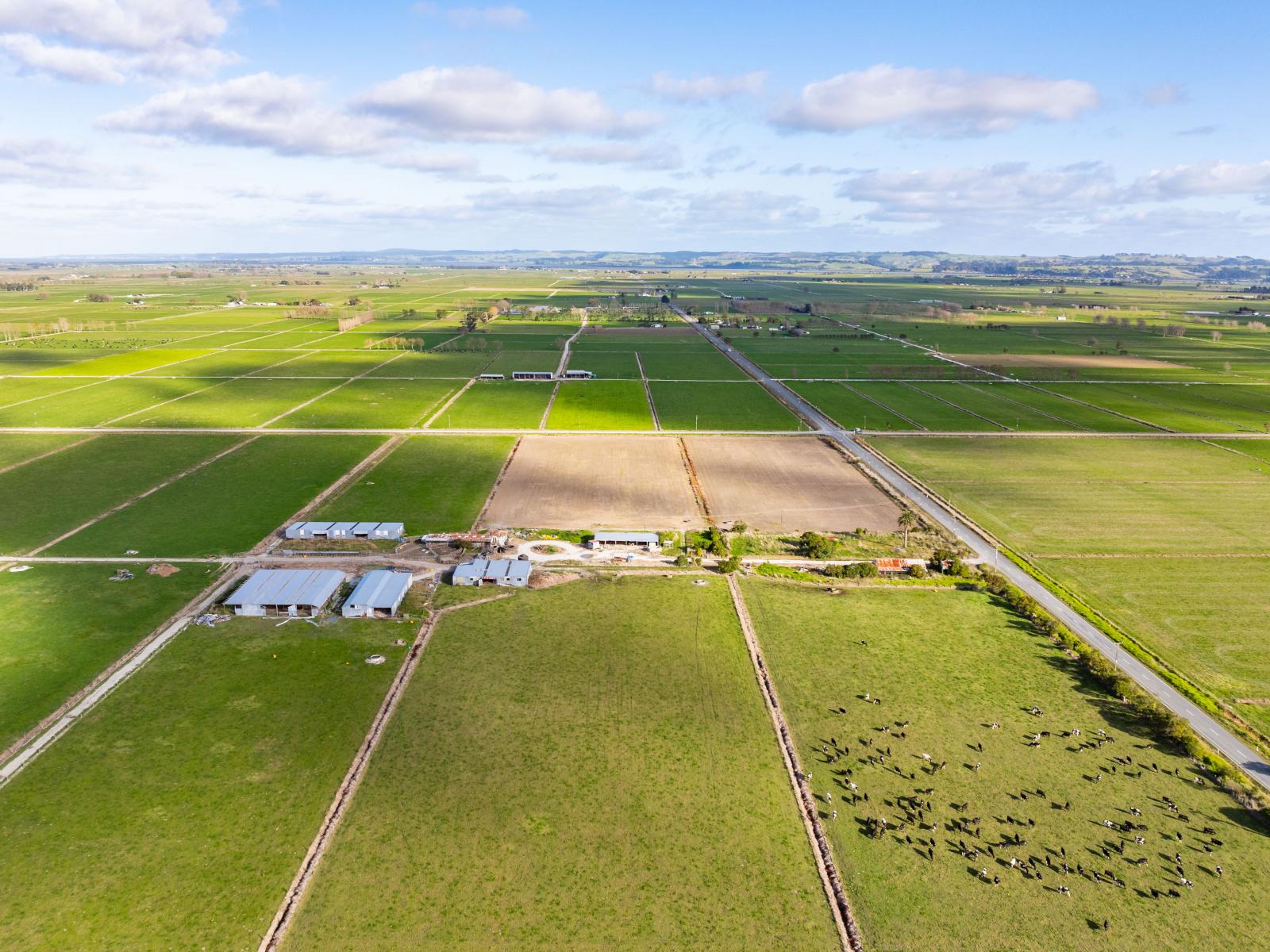 107 Molloy Road, Ruawai