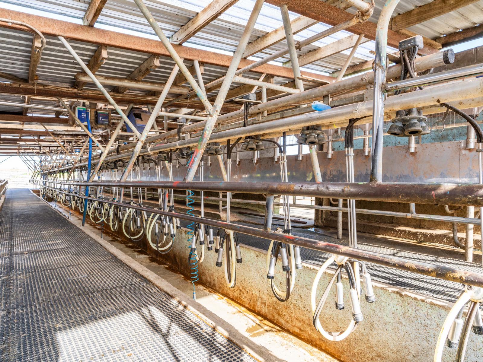 107 Molloy Road, Ruawai