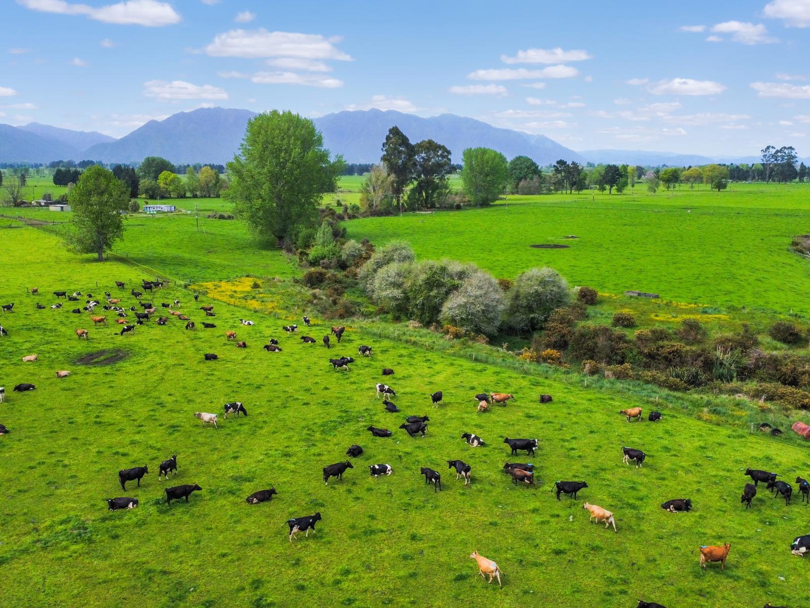 4193 Galatea Road, Galatea